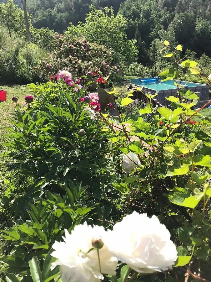 B&B Il Tulipano Polverara Italia