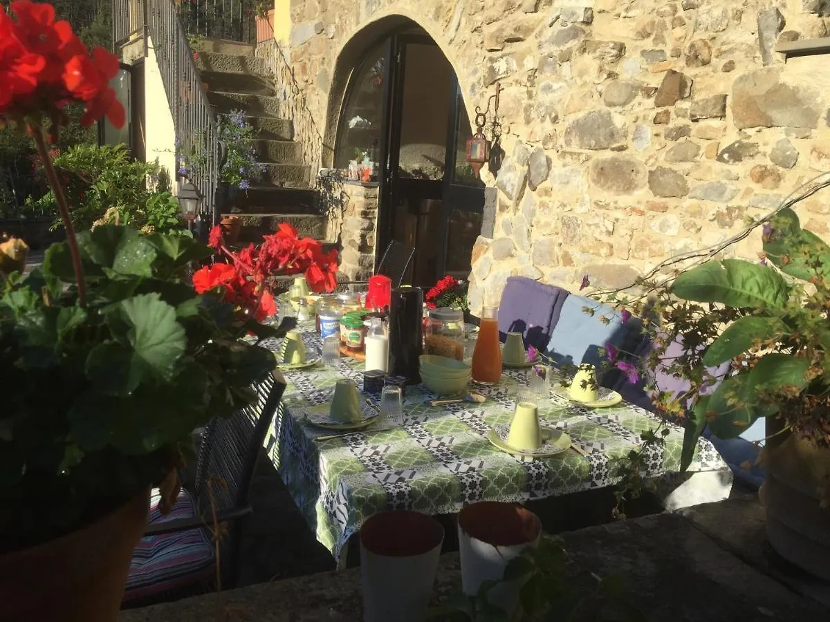 B&B Il Tulipano Polverara Italia