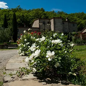 Azienda Agricola Il Pozzo Gospodarstwo agroturystyczne Capolona