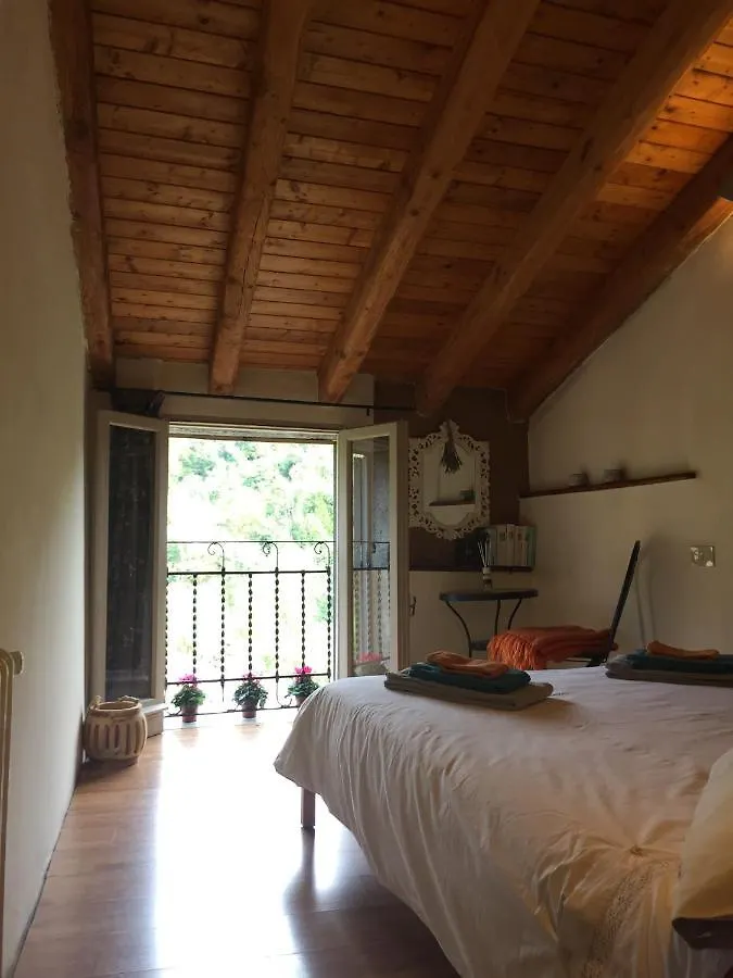 B&B Il Tulipano Polverara 0*,